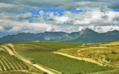 El Mundo Chino: una nueva frontera para el vino alavés