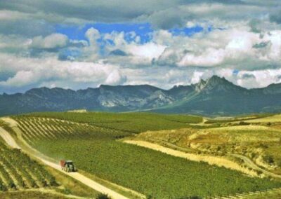 El Mundo Chino: una nueva frontera para el vino alavés